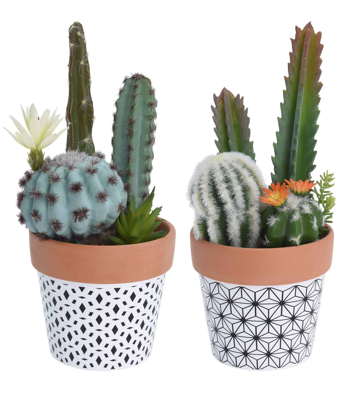 Faux Fake Cactus  in White Geometric Design  Pot 